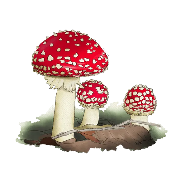 Die Hummel