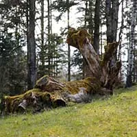 geländespot