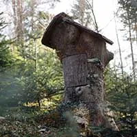geländespot